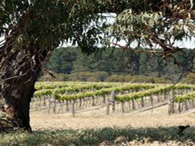 Wangolina Station - Accommodation Brunswick Heads 3