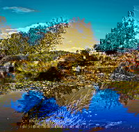 Loira Vines - Accommodation Brunswick Heads