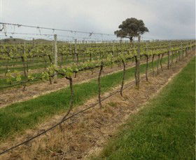 Indigo Vineyard - Accommodation Brunswick Heads 1