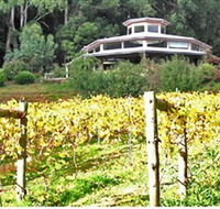 Peveril Vineyard/Beechy Berries - Accommodation Brunswick Heads