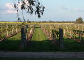 Bridgewater On Loddon VIC Accommodation Brunswick Heads