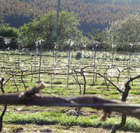 Three Willows Vineyard - Accommodation Brunswick Heads