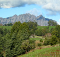 Lake Barrington Vineyard - Accommodation Brunswick Heads