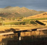 Optimiste Wines - Accommodation Brunswick Heads