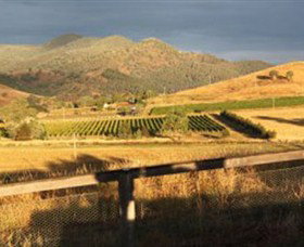 Optimiste Wines - Accommodation Brunswick Heads 0