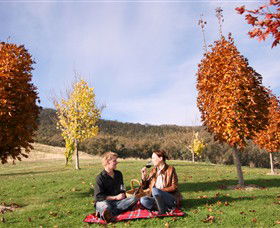 Gapsted Wines - Accommodation Brunswick Heads 5
