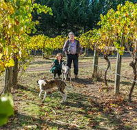 Little River Wines of Taggerty - Accommodation Brunswick Heads