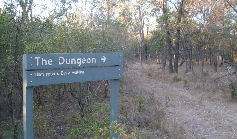 Bonshaw NSW Accommodation Brunswick Heads