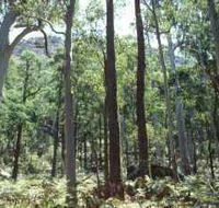 Cathedral Range State Park - Accommodation Brunswick Heads