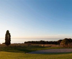 Jack Rabbit Vineyard - Accommodation Brunswick Heads 3