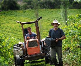 Kellybrook Winery, Kelly Brothers Cider & Riders Brew Co. - Accommodation Brunswick Heads 0