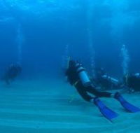 Man and Wife Rocks Dive Site - Accommodation Brunswick Heads