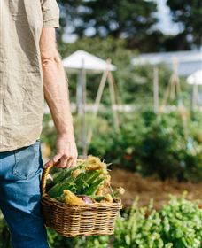 Kiltynane Wines - Accommodation Brunswick Heads 6