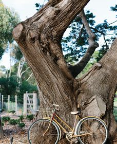 Kiltynane Wines - Accommodation Brunswick Heads 8