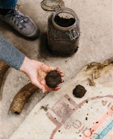 Kiltynane Wines - Accommodation Brunswick Heads 7