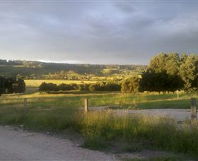 Gleneden Organic Farm And The Gleneden Bullock Team - Accommodation Brunswick Heads 0