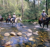 Howqua Hills Historic Area - Accommodation Brunswick Heads