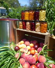 Rayner's Orchard - Accommodation Brunswick Heads 8
