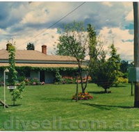 Tumut Valley Violets - Accommodation Brunswick Heads