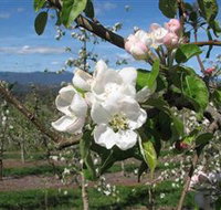 Mouat's Farm - Accommodation Brunswick Heads