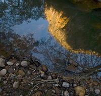 Abercrombie Karst Conservation Reserve - Accommodation Brunswick Heads