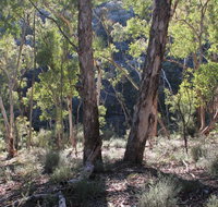 Mount Gray walking track - Accommodation Brunswick Heads