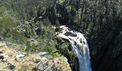 Grove Creek Falls Walking Track - Accommodation Brunswick Heads 0