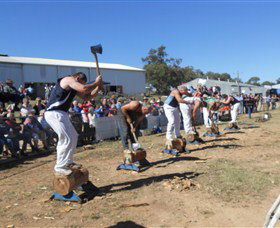 Quirindi Rural Heritage Village - Accommodation Brunswick Heads 1