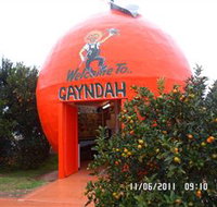 Gayndahs Big Orange - Accommodation Brunswick Heads