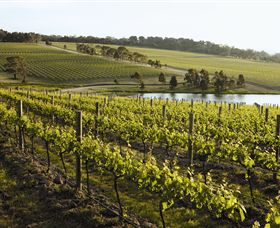Yabby Lake Vineyard & Cellar Door - Accommodation Brunswick Heads 7