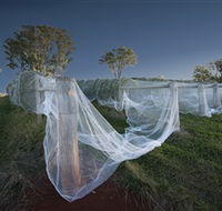 Toppers Mountain Wines - Accommodation Brunswick Heads