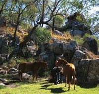 Coomba Falls - Accommodation Brunswick Heads