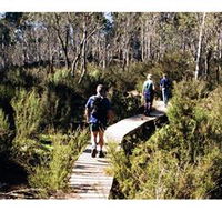 Hume and Hovell Walking Track - Henry Angel Trackhead - Accommodation Brunswick Heads