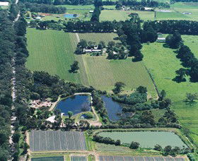 Ten Minutes By Tractor - Accommodation Brunswick Heads 2