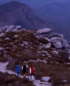 Bluff Knoll, Stirling Range National Park - Accommodation Brunswick Heads 0