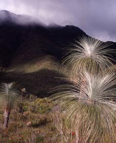 Bluff Knoll, Stirling Range National Park - Accommodation Brunswick Heads 3
