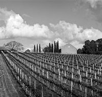 Willow Creek Vineyard - Accommodation Brunswick Heads