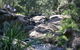 Towarri National Park - thumb 0