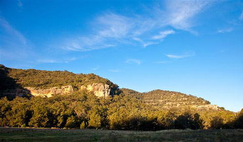 Towarri National Park - Accommodation Brunswick Heads 1