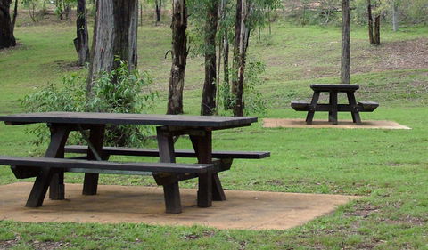 Towarri National Park - Accommodation Brunswick Heads 2