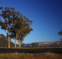 Capertee Valley Bird Trail - Accommodation Brunswick Heads