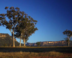 Capertee Valley Bird Trail - Accommodation Brunswick Heads 0