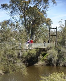 Avon Park - Accommodation Brunswick Heads 0