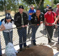 Fossil Rock - Accommodation Brunswick Heads