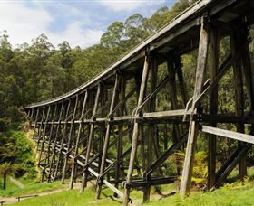 Noojee VIC Accommodation Brunswick Heads
