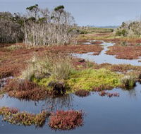 French Island National Park - Accommodation Brunswick Heads