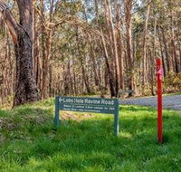 Lobs Hole Ravine 4WD Trail - Accommodation Brunswick Heads