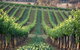 Two Rivers Wines - thumb 1