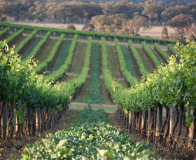 Two Rivers Wines - Accommodation Brunswick Heads 1