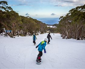 Baw Baw VIC Accommodation Brunswick Heads